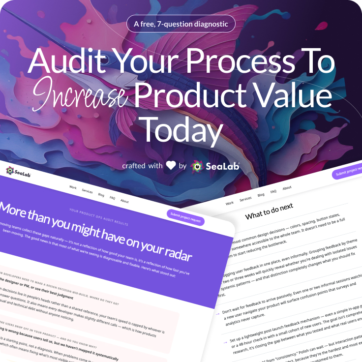 Product Ops Audit Cover page by SeaLab
